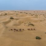 camel ride in jaisalmer