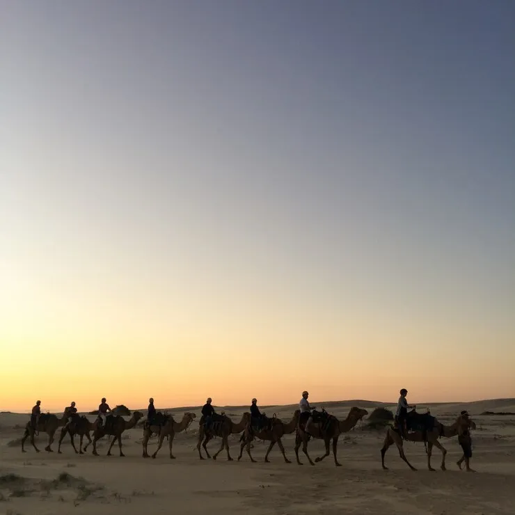 Jaisalmer Outskirts and Departure